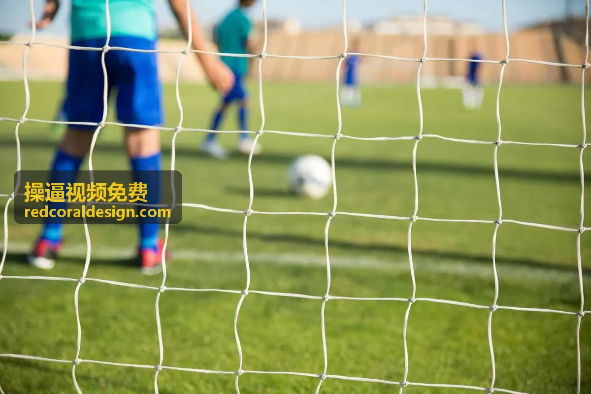操逼视频免费最新更新索引封面