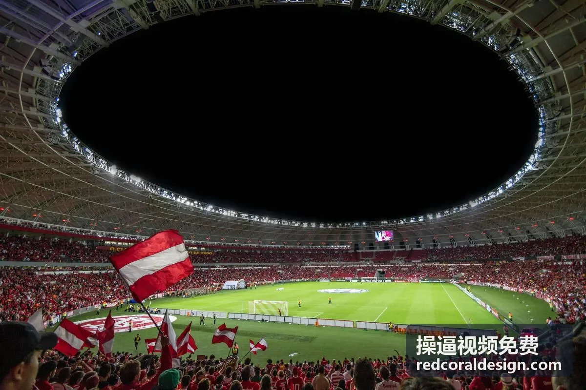 操逼视频免费移动端观看指南抽象封面